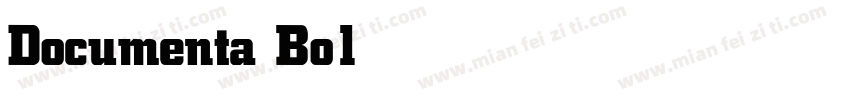 Documenta Bold字体转换
